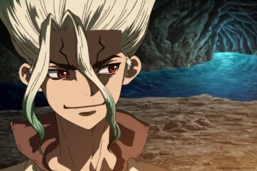 Dr. Stone