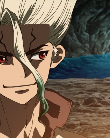 Dr. Stone